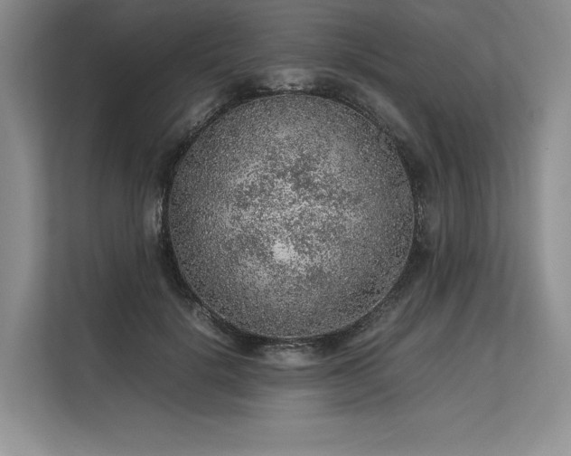 X0000113310652200909211143