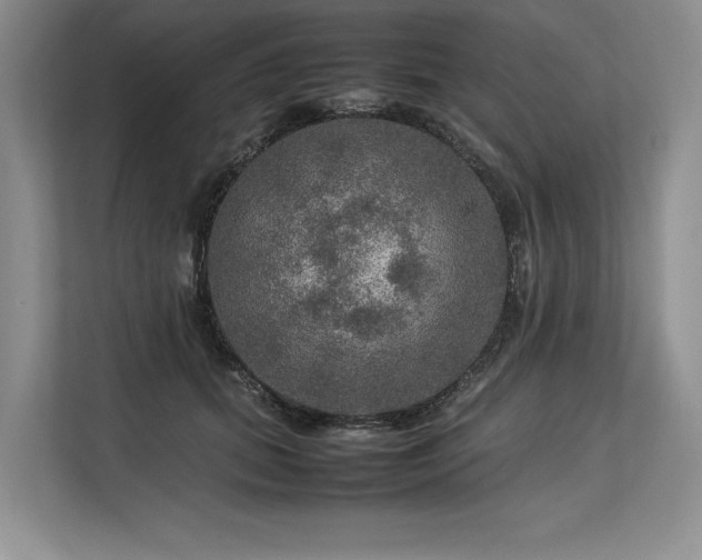 X0000113310655200909211143