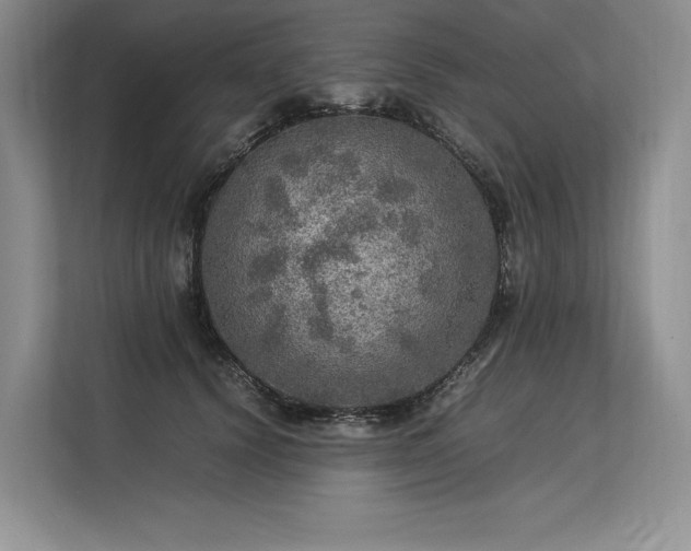 X0000113310656200909211143