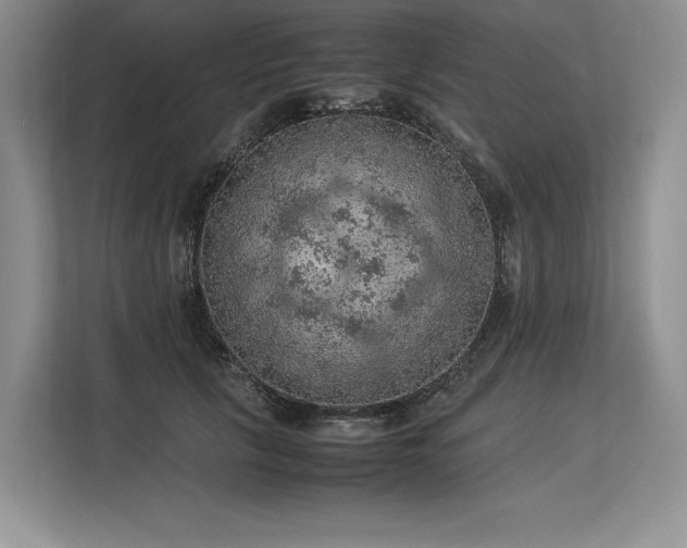 X0000113310657200909211143