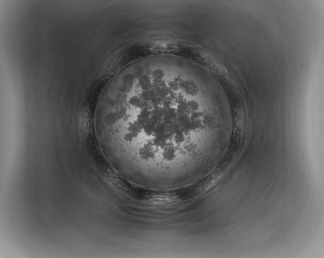 X0000113310659200909211143