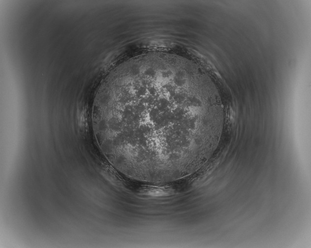 X0000113310663200909211143