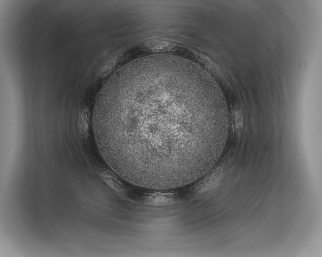 X0000113310664200909211143