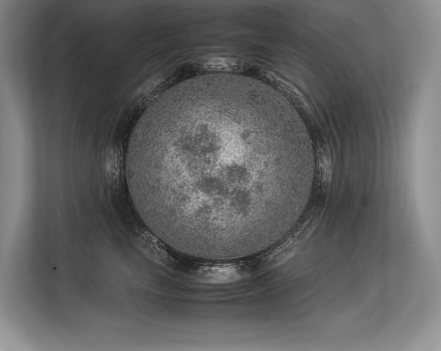 X0000113310665200909211143