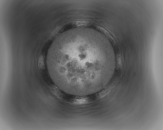 X0000113310667200909211143