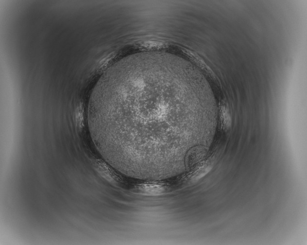 X0000113310668200909211143