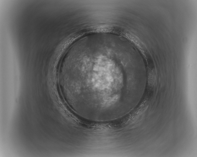 X0000113310673200909211142