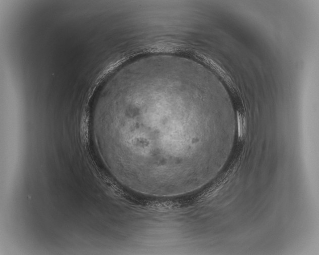 X0000113310675200909211142