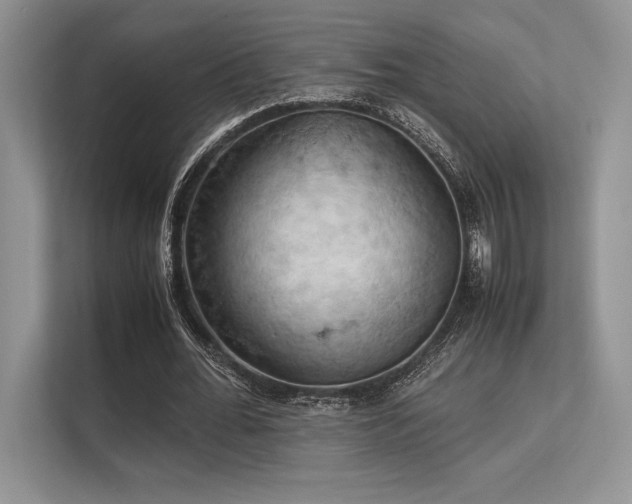 X0000113310676200909211142