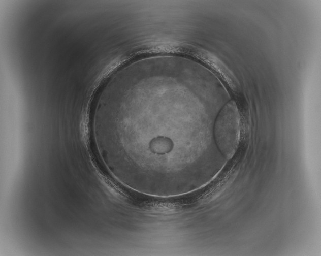 X0000113310677200909211142