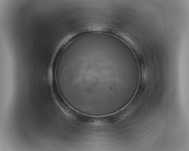 X0000113310678200909211142