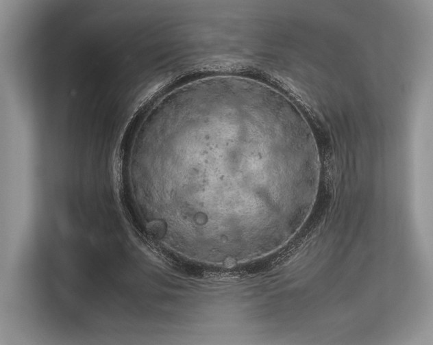 X0000113310679200909211142