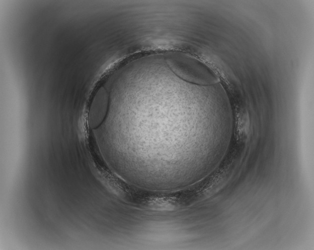 X0000113310680200909211142