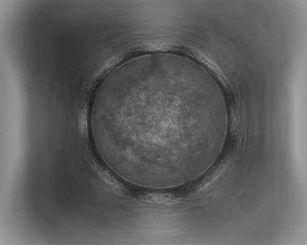 X0000113310681200909211142