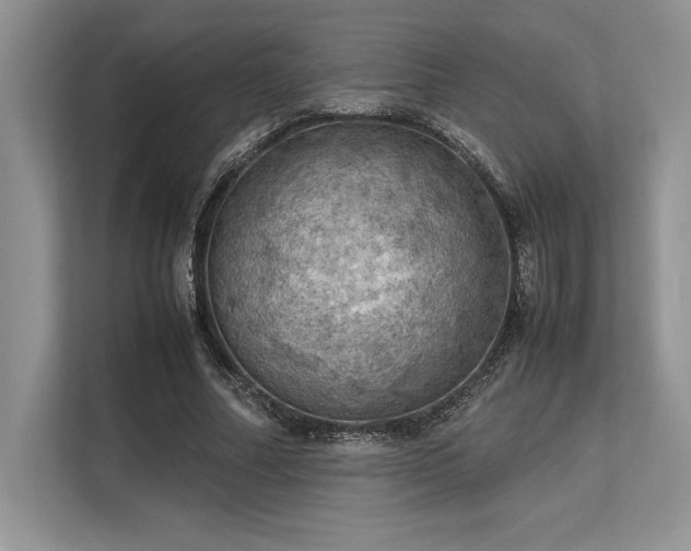 X0000113310682200909211142