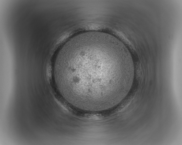 X0000113310683200909211142