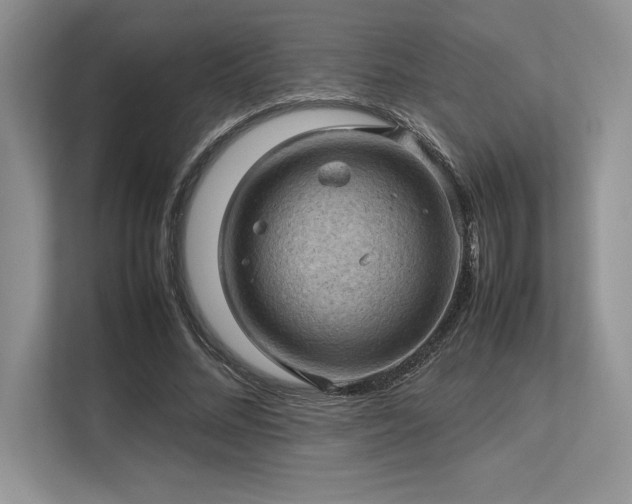 X0000113310684200909211142