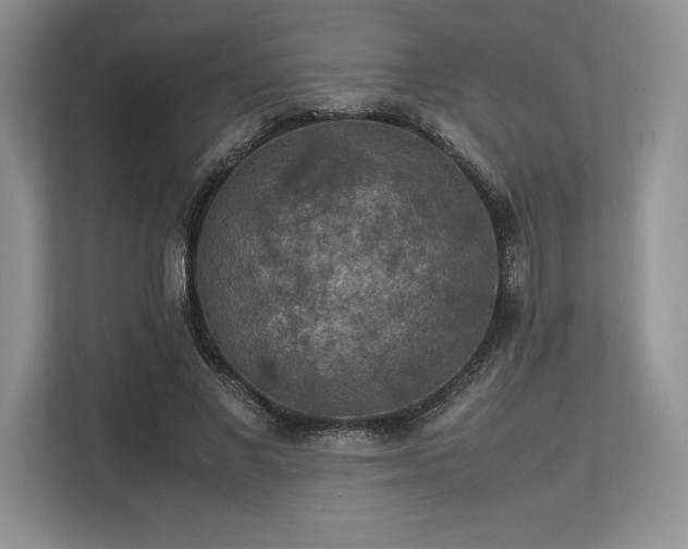 X0000113310685200909211142