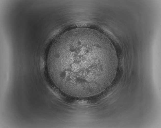 X0000113310687200909211142