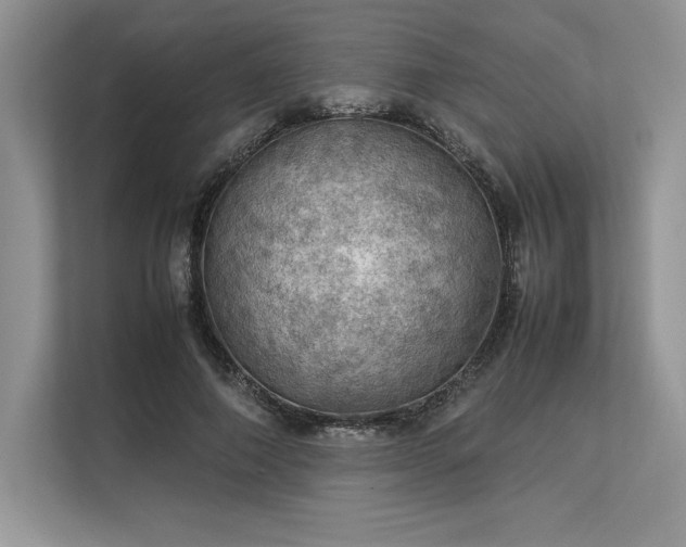 X0000113310690200909211142