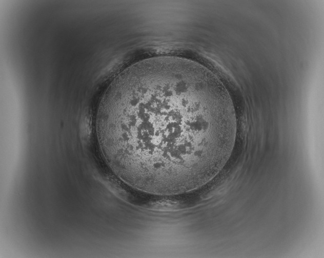 X0000113310691200909211142