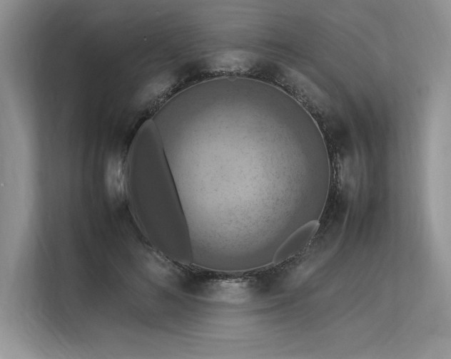 X0000113310692200909211142