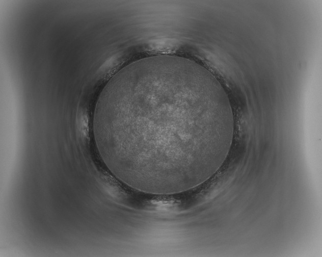 X0000113310693200909211142