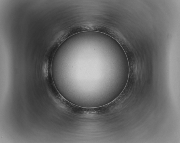 X0000113310694200909211142