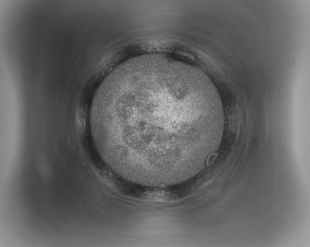 X0000113310695200909211142