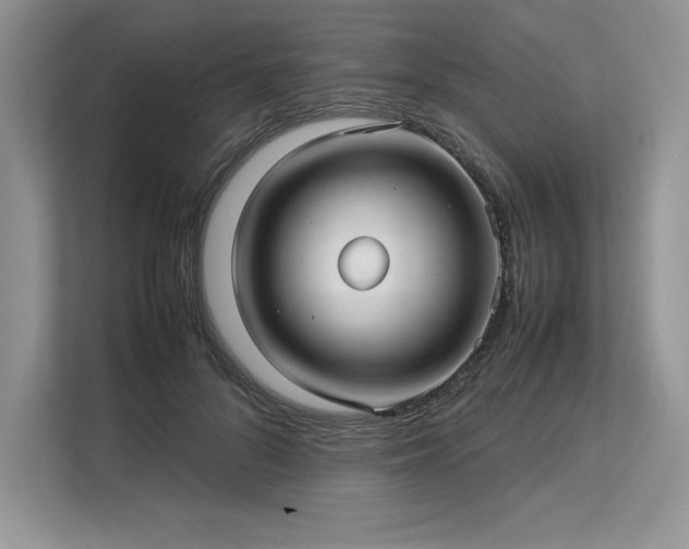 X0000113310696200909211142