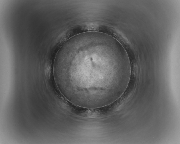 X0000113310697200909211142