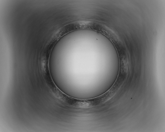 X0000113310698200909211142