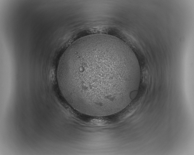 X0000113310699200909211142