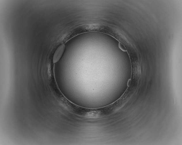 X0000113310700200909211142