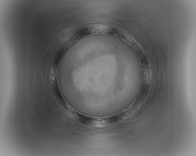 X0000113310701200909211142