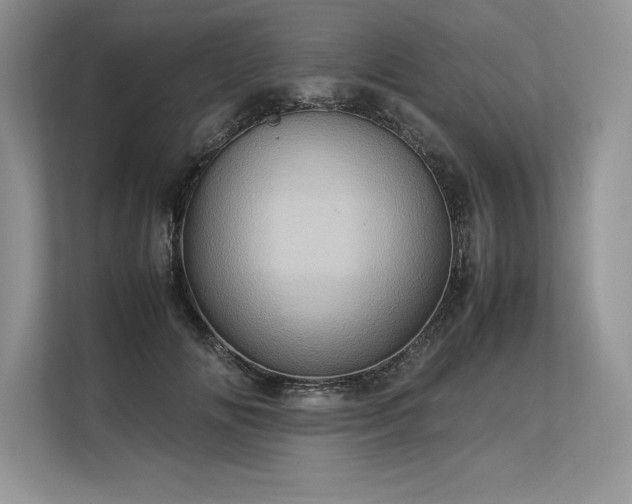 X0000113310702200909211142