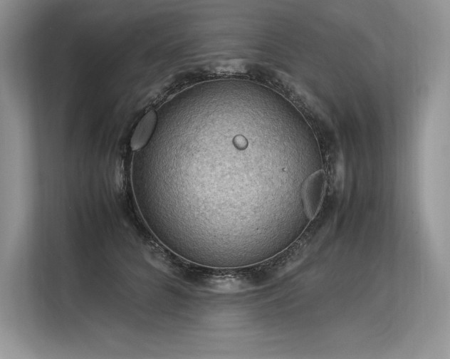 X0000113310704200909211142