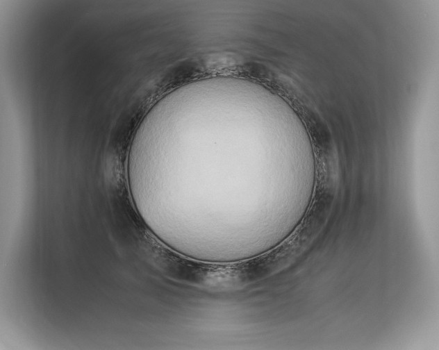 X0000113310705200909211142