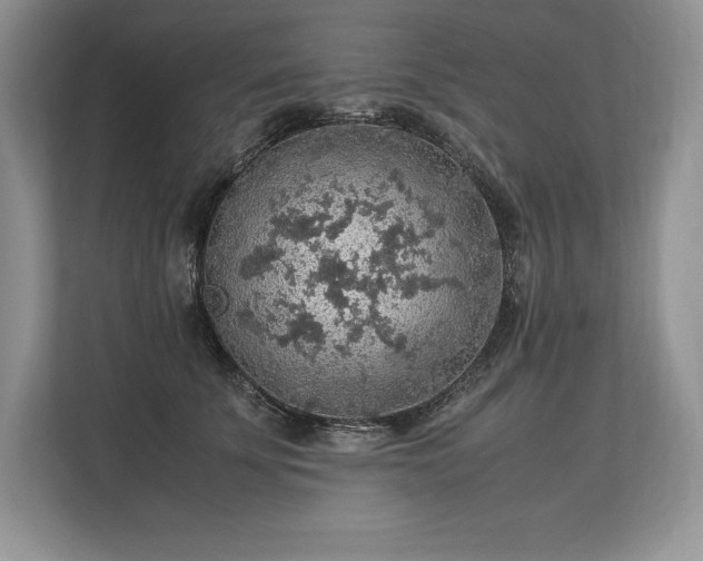 X0000113310707200909211142