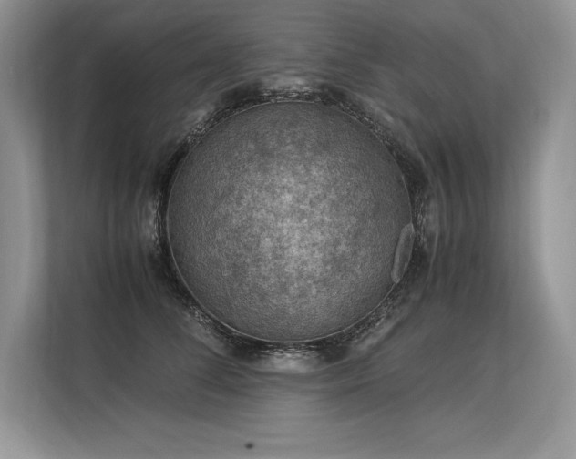 X0000113310708200909211142