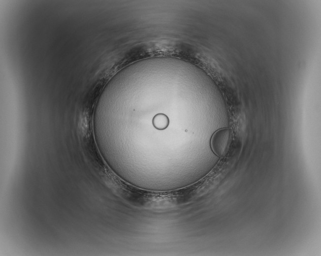 X0000113310709200909211142