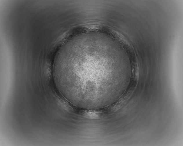 X0000113310710200909211142