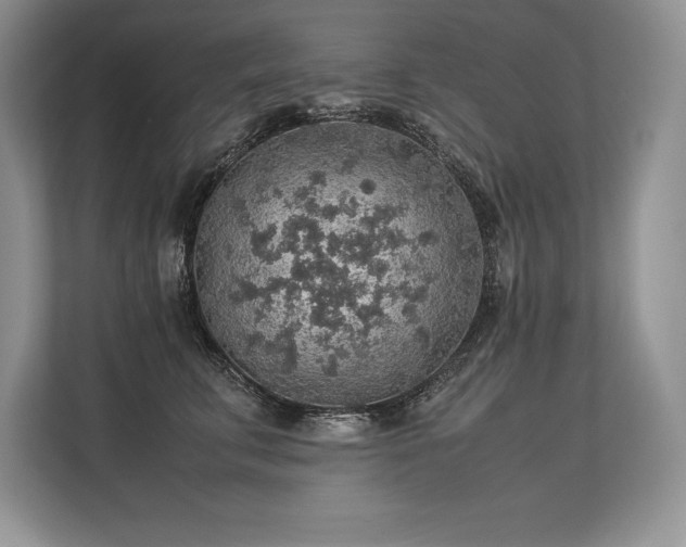 X0000113310711200909211142