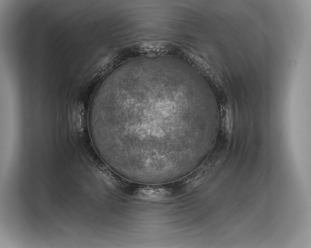 X0000113310712200909211142