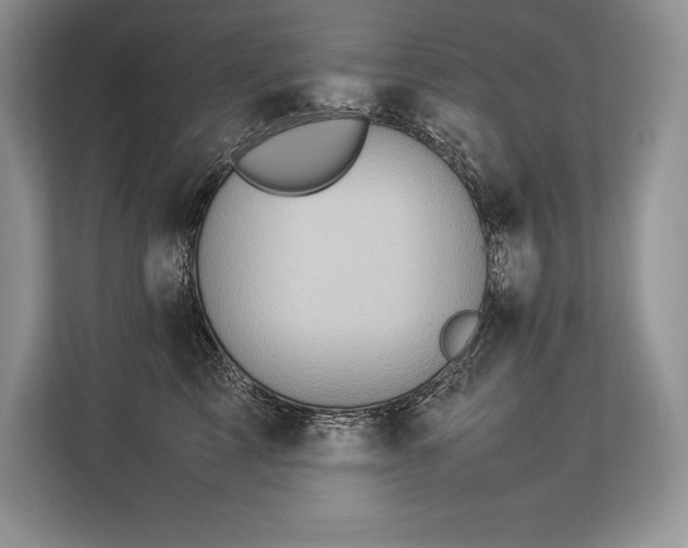 X0000113310713200909211142