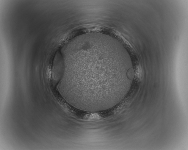 X0000113310715200909211142