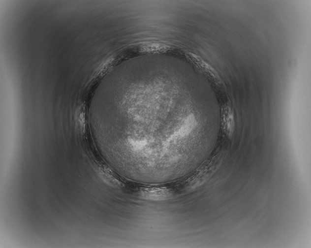 X0000113310716200909211142