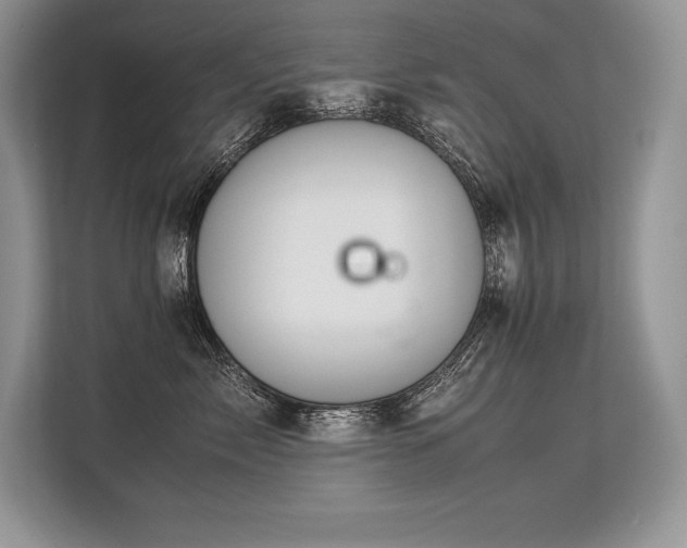 X0000113310717200909211142