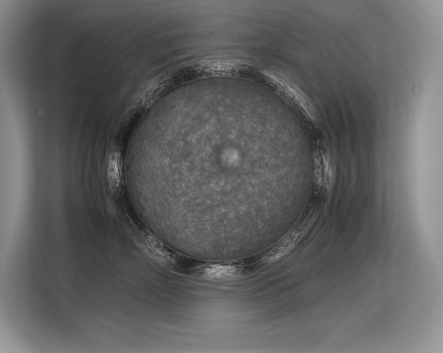 X0000113310718200909211142