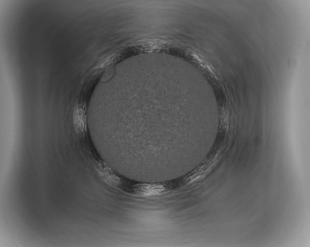 X0000113310719200909211142